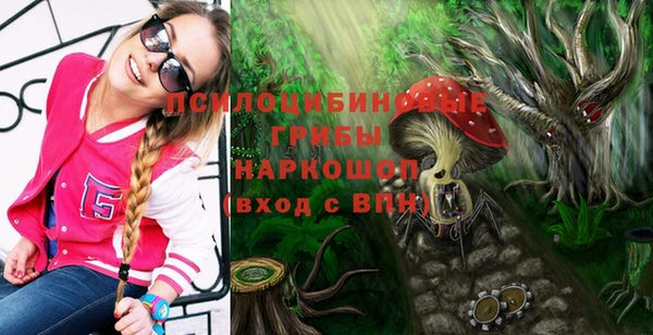 mix Арсеньев