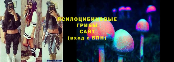 бошки Протвино