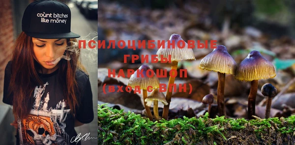 mix Арсеньев