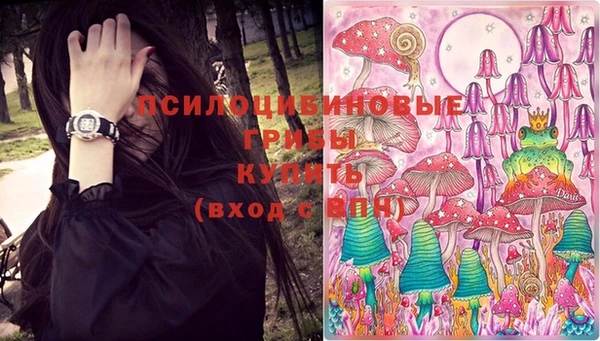 бошки Протвино