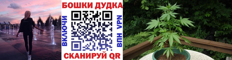 Шишки марихуана планчик MEGA рабочий сайт Белогорск